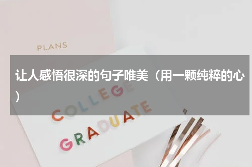 让人感悟很深的句子唯美（用一颗纯粹的心）