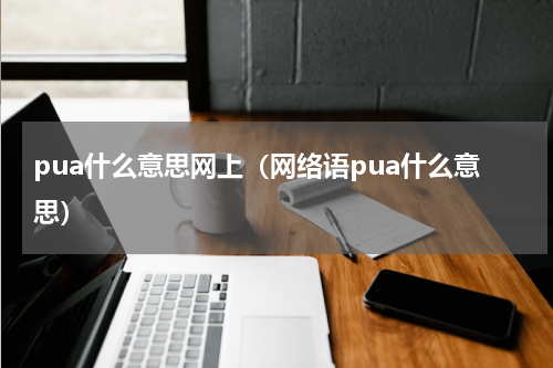 pua什么意思网上（网络语pua什么意思）