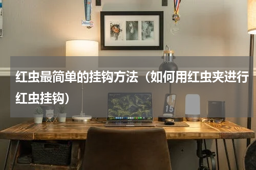 红虫最简单的挂钩方法（如何用红虫夹进行红虫挂钩）
