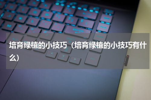 培育绿植的小技巧（培育绿植的小技巧有什么）