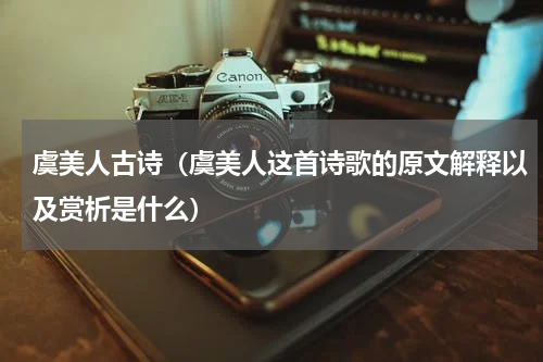 虞美人古诗（虞美人这首诗歌的原文解释以及赏析是什么）