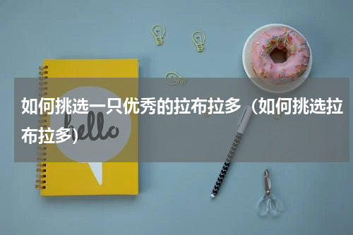 如何挑选一只优秀的拉布拉多（如何挑选拉布拉多）