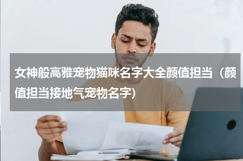 女神般高雅宠物猫咪名字大全颜值担当（颜值担当接地气宠物名字）