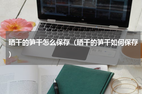 晒干的笋干怎么保存（晒干的笋干如何保存）