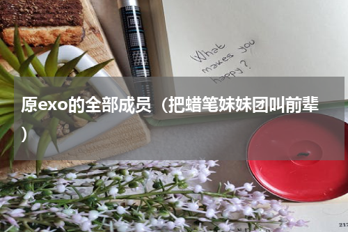 原exo的全部成员（把蜡笔妹妹团叫前辈）