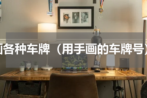 画各种车牌（用手画的车牌号）