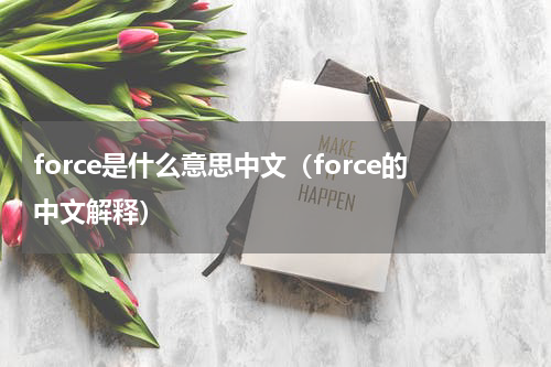 force是什么意思中文（force的中文解释）