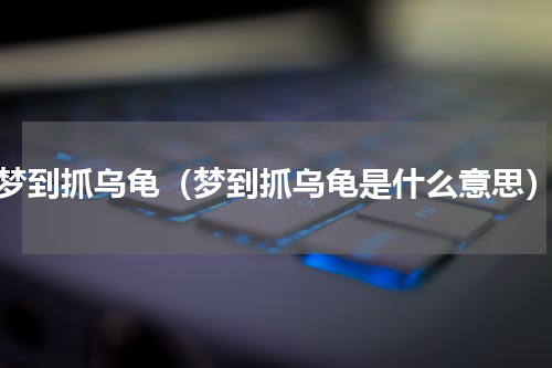 梦到抓乌龟（梦到抓乌龟是什么意思）