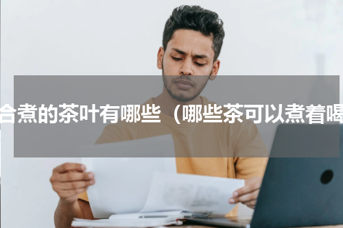 适合煮的茶叶有哪些（哪些茶可以煮着喝）