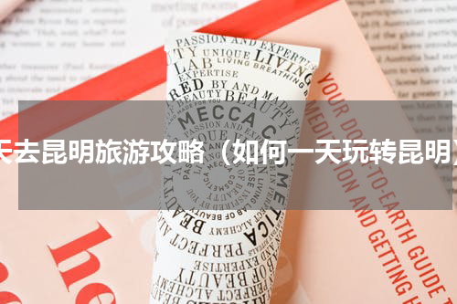 4天去昆明旅游攻略（如何一天玩转昆明）