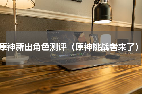 原神新出角色测评（原神挑战者来了）