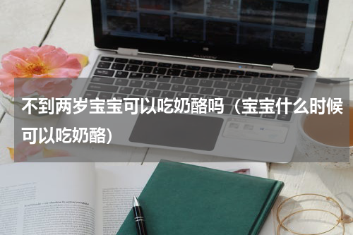 不到两岁宝宝可以吃奶酪吗（宝宝什么时候可以吃奶酪）