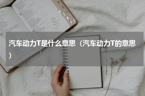 汽车动力T是什么意思（汽车动力T的意思）