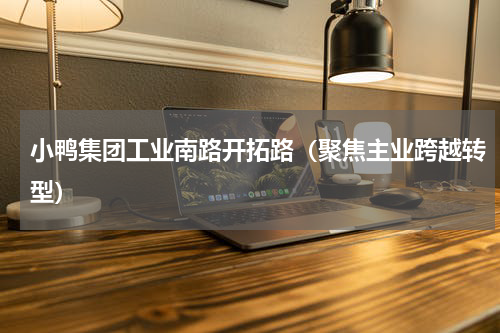 小鸭集团工业南路开拓路（聚焦主业跨越转型）