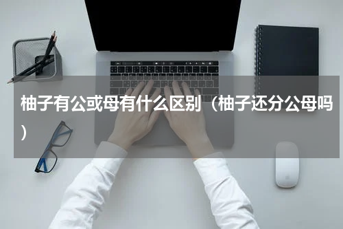 柚子有公或母有什么区别（柚子还分公母吗）