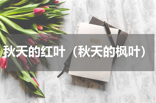 秋天的红叶（秋天的枫叶）