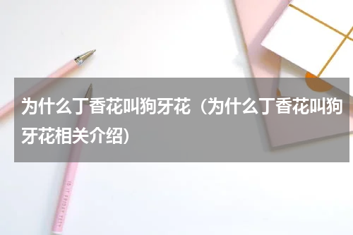 为什么丁香花叫狗牙花（为什么丁香花叫狗牙花相关介绍）