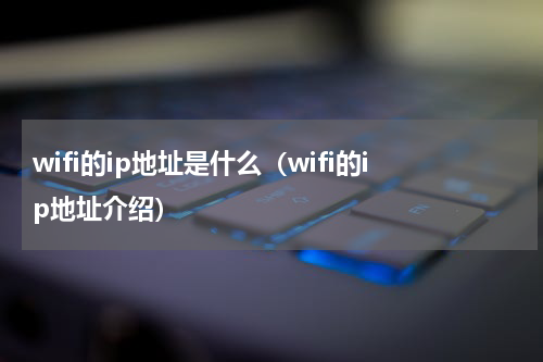 wifi的ip地址是什么（wifi的ip地址介绍）