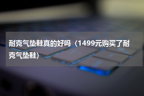 耐克气垫鞋真的好吗（1499元购买了耐克气垫鞋）