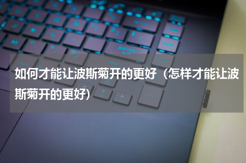 如何才能让波斯菊开的更好（怎样才能让波斯菊开的更好）