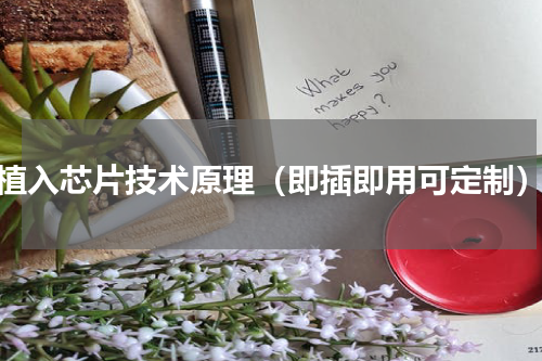 植入芯片技术原理（即插即用可定制）