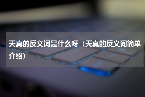 天真的反义词是什么呀（天真的反义词简单介绍）