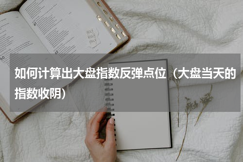 如何计算出大盘指数反弹点位（大盘当天的指数收阴）