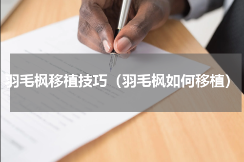 羽毛枫移植技巧（羽毛枫如何移植）