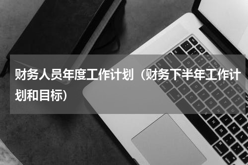 财务人员年度工作计划（财务下半年工作计划和目标）