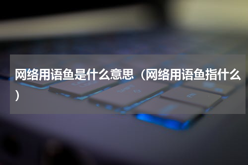网络用语鱼是什么意思（网络用语鱼指什么）