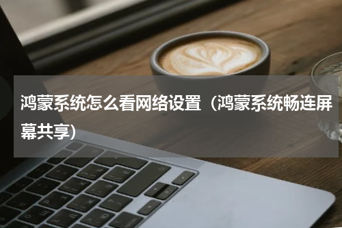 鸿蒙系统怎么看网络设置（鸿蒙系统畅连屏幕共享）