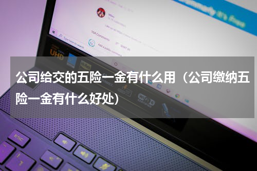 公司给交的五险一金有什么用（公司缴纳五险一金有什么好处）