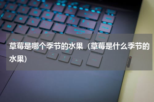 草莓是哪个季节的水果（草莓是什么季节的水果）