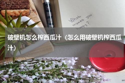 破壁机怎么榨西瓜汁（怎么用破壁机榨西瓜汁）