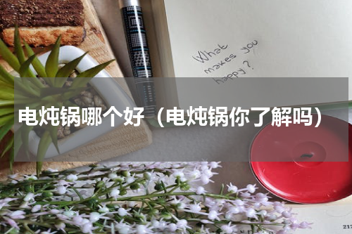 电炖锅哪个好（电炖锅你了解吗）