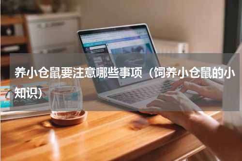 养小仓鼠要注意哪些事项（饲养小仓鼠的小知识）