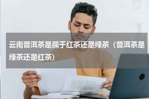 云南普洱茶是属于红茶还是绿茶（普洱茶是绿茶还是红茶）