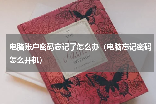 电脑账户密码忘记了怎么办（电脑忘记密码怎么开机）