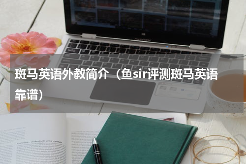斑马英语外教简介（鱼sir评测斑马英语靠谱）
