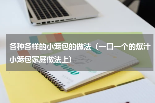 各种各样的小笼包的做法（一口一个的爆汁小笼包家庭做法上）