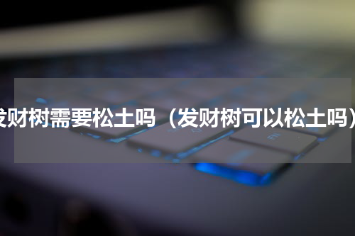 发财树需要松土吗（发财树可以松土吗）