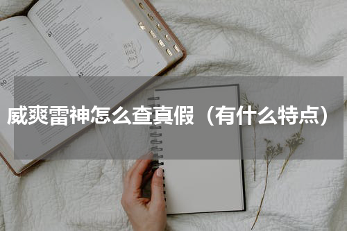 威爽雷神怎么查真假（有什么特点）