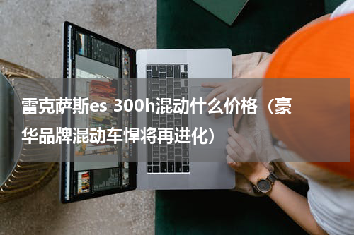 雷克萨斯es 300h混动什么价格（豪华品牌混动车悍将再进化）