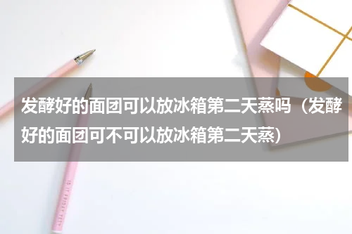 发酵好的面团可以放冰箱第二天蒸吗（发酵好的面团可不可以放冰箱第二天蒸）