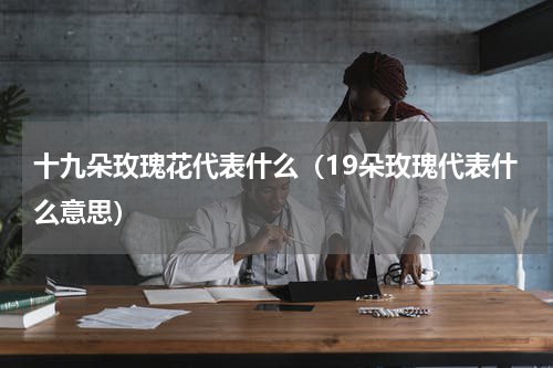 十九朵玫瑰花代表什么（19朵玫瑰代表什么意思）