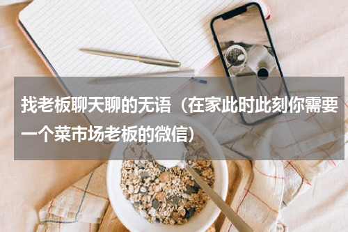 找老板聊天聊的无语（在家此时此刻你需要一个菜市场老板的微信）
