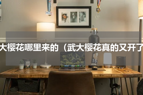 武大樱花哪里来的（武大樱花真的又开了）