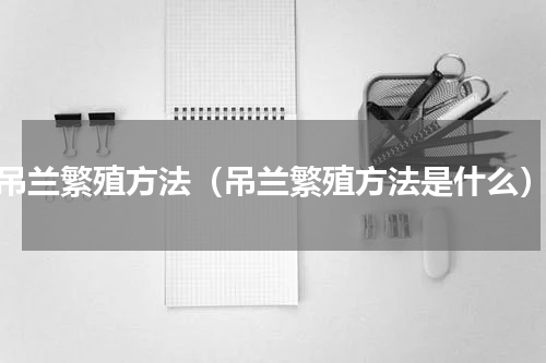 吊兰繁殖方法（吊兰繁殖方法是什么）