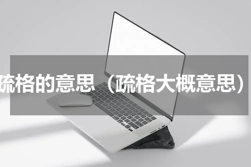 疏格的意思（疏格大概意思）