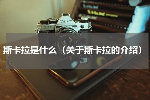 斯卡拉是什么（关于斯卡拉的介绍）